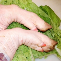 玉林猪脚