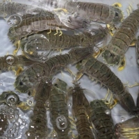 南宁食材配送